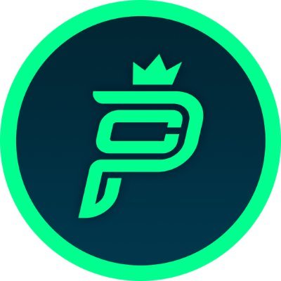 Partner 1